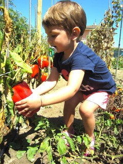 Bambini orto hotel sul mare rimini