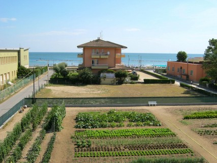 Hotel igea vista mare