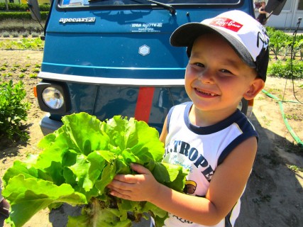 Hotel rimini immerso nel verde